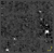 background map of CFHTLS_W_g_141754+523831_T0007
